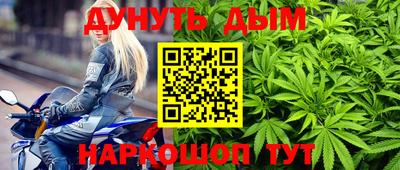 прущие грибы Ставрополь