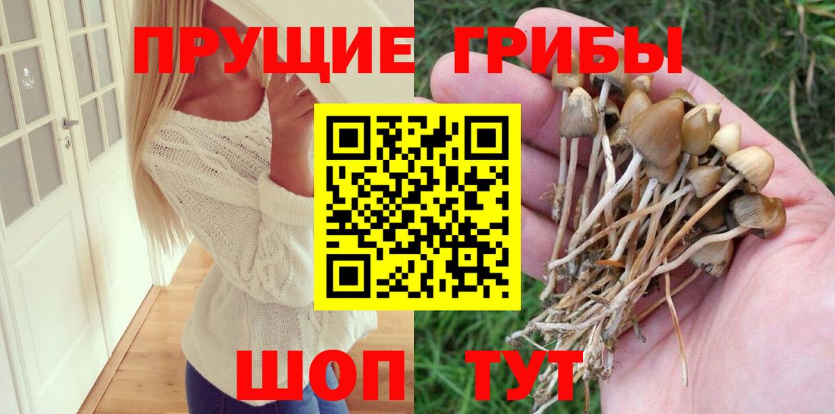 Галлюциногенные грибы MAGIC MUSHROOMS Новый Уренгой